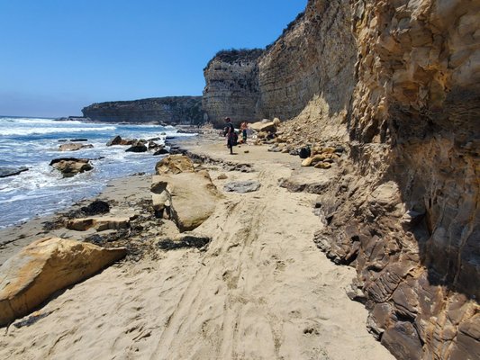Four Mile Beach by null