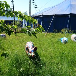 Familienpark Sottrum