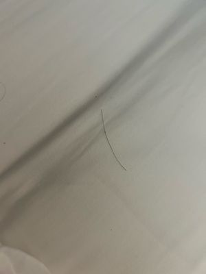 Macon Marriott City Center by null