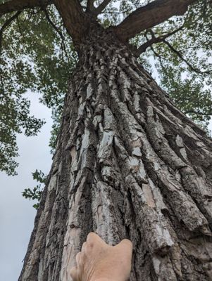 Bethany Lakes Park by null