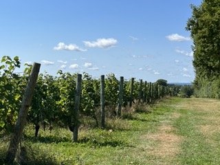 Domaine de Grand Pré by null