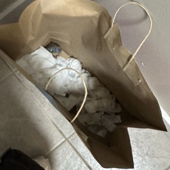 Hometeam Properties - Bag full of maggots - Property Management Near Me - Columbus, Ohio Hometeam Properties - Bag full of maggots - Property Management Near Me - Columbus, Ohio