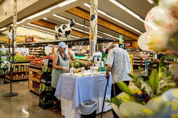 Windmill Farms Market by null