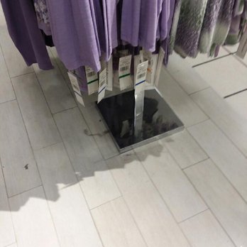 JCPenney - Zoom in for nastiness. - Women's Clothing Near Me - Springfield, Missouri