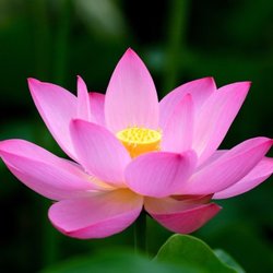 Quantum Energy Healing Therapy
