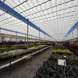 Sanders Nursery & Distribution Center - Green house 4/2023