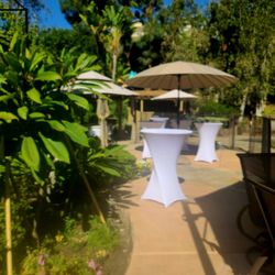Diviana's Party Rentals