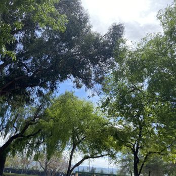 Rancho Simi Community Park - Beautiful today! - Tennis Near Me - Simi Valley, California
