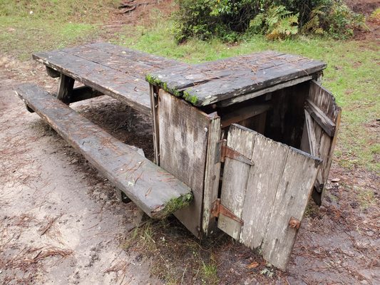 Salt Point State Park by null