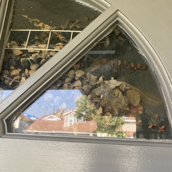 Anytime Painting - Paint on glass - Painters Near Me - Los Angeles, California