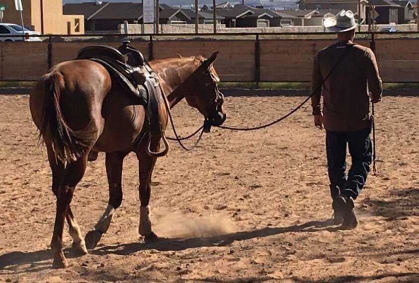 GO WEST STABLES Updated August 2024 20 Photos 6393 Westside Dr