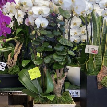 Gloria Flowers - Florists Near Me - Los Angeles, California Gloria Flowers - Florists Near Me - Los Angeles, California