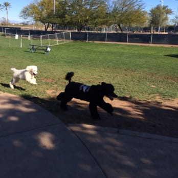 Surprise Community Park - Parks Near Me - Surprise, Arizona Surprise Community Park - Parks Near Me - Surprise, Arizona