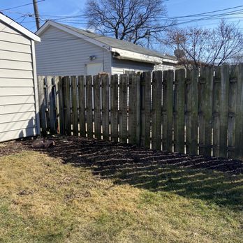 Jose's Tree Service - Removed - Tree Services Near Me