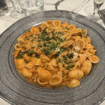 Orofino - Orecchiette Bari - Italian Near Me - Fredericksburg, Virginia