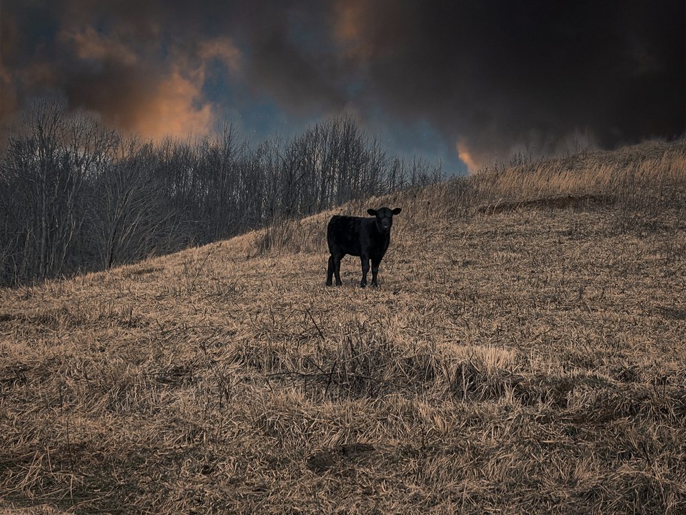 ELLISON FARMS AT SILVERSTONE Updated May 2024 761 Silverstone Rd