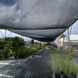 Hilltop Gardens - Outside plants for the season (more to come)