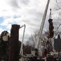 Photo of Carroll Tree Service