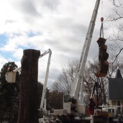 Carroll Tree Service