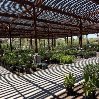 Star Nursery - Outside - Nurseries & Gardening Near Me - Las Vegas, Nevada Star Nursery - Outside - Nurseries & Gardening Near Me - Las Vegas, Nevada