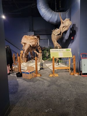 Orlando Science Center by null