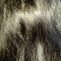 Photo of Hair By Stephanie