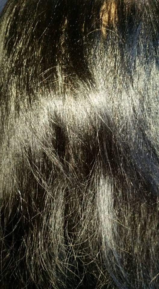 Hair By Stephanie Logo