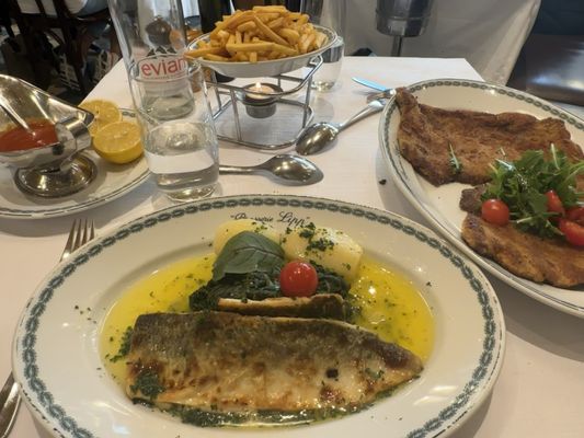 Brasserie Lipp by null