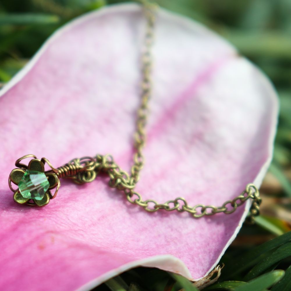 Top 10 Best Plant Stores in Richmond, VA Last Updated