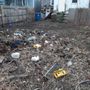 Photo of Greg’s clean out service