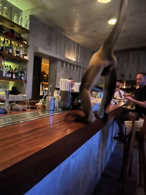 Rosewood Mayakoba by null