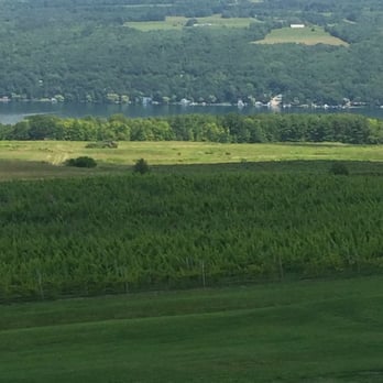 Heron Hill Winery - View from outside - Wineries Near Me - Hammondsport, New York Heron Hill Winery - View from outside - Wineries Near Me - Hammondsport, New York
