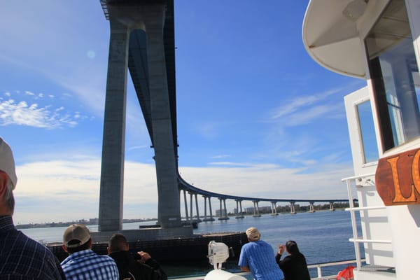 City Cruises by null