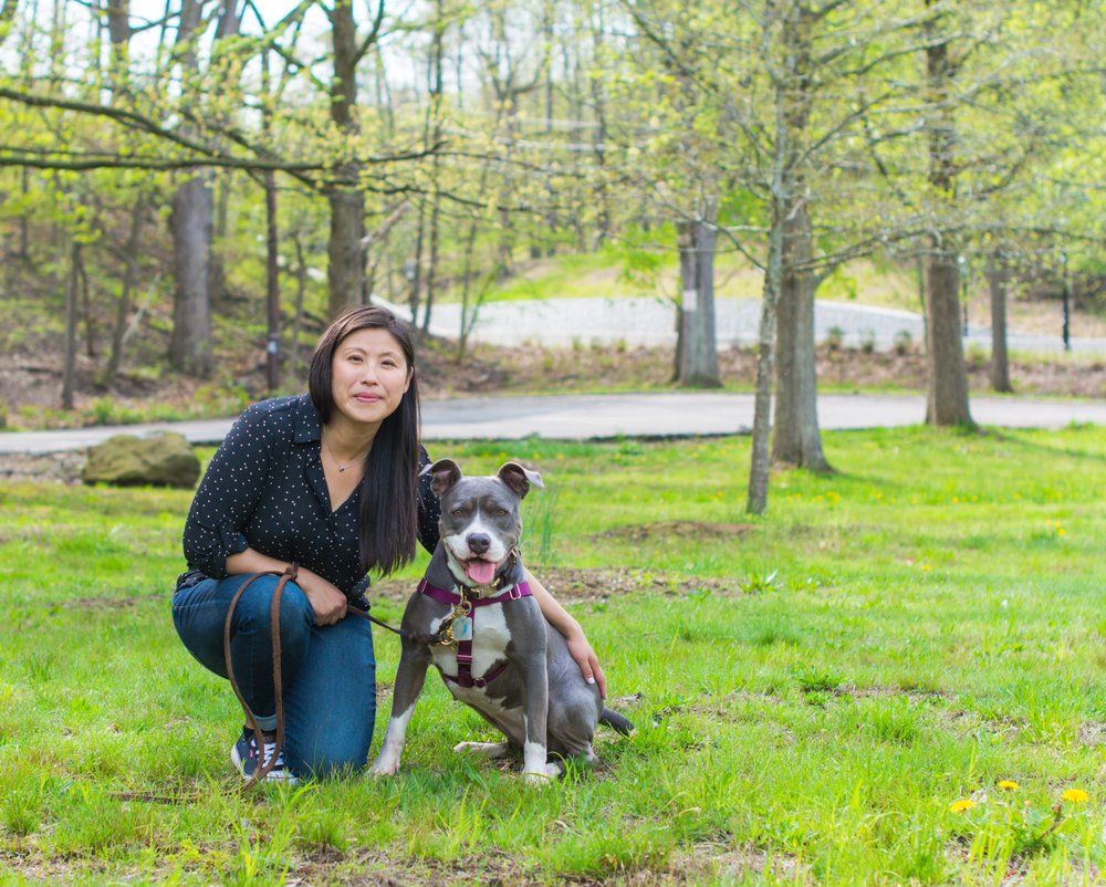 Give Paw Dog Training