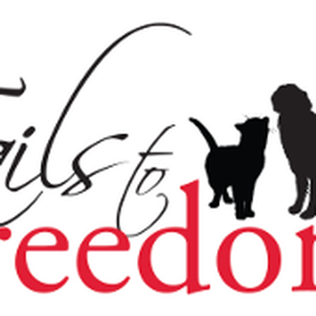Lucky Dog Thrift Shop - Tails to Freedom is the 501(c)3 parent company. - Thrift Stores Near Me - Nashua, New Hampshire Lucky Dog Thrift Shop - Tails to Freedom is the 501(c)3 parent company. - Thrift Stores Near Me - Nashua, New Hampshire
