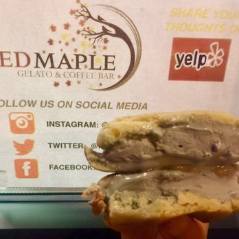 Red Maple - Cafes Near Me - Los Angeles, California