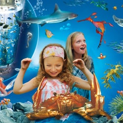 Sea Life
