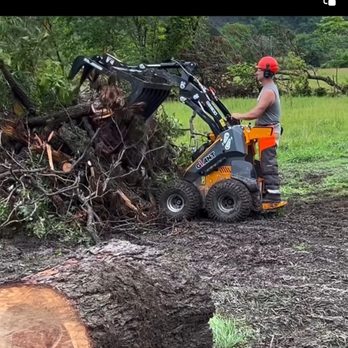 Hickman Tree Service - Tree Services Near Me Hickman Tree Service - Tree Services Near Me
