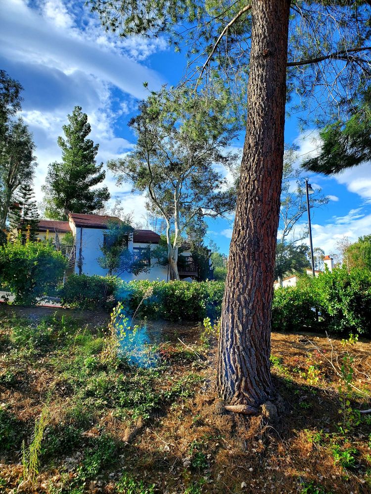 SAN DIEGO COUNTRY ESTATES 16911 Gunn Stage Rd, Ramona, California