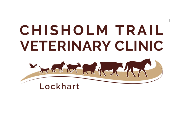Chisholm Trail Veterinary Clinic of Lockhart - pet boarding facility in Lockhart, TX