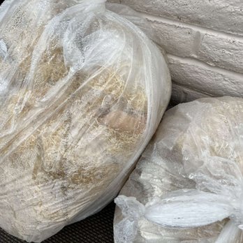Perfect Pets - See the dead hamster in the left trash bag. - Pet Breeders Near Me - Centennial, Colorado