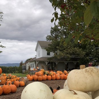 Moulton Farm - Pumpkins everywhere. - Farmers Market Near Me - Meredith, New Hampshire Moulton Farm - Pumpkins everywhere. - Farmers Market Near Me - Meredith, New Hampshire