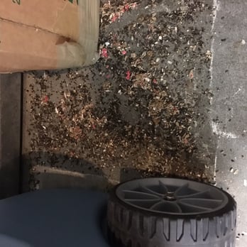 Extra Space Storage - What we found upon opening our unit. - Self Storage Near Me - San Jose, California Extra Space Storage - What we found upon opening our unit. - Self Storage Near Me - San Jose, California