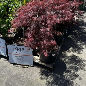 The Home Depot - Hardware Stores Near Me - Tigard, Oregon