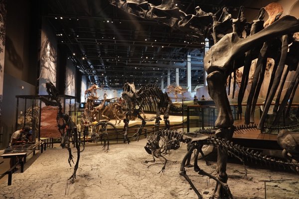 Natural History Museum of Utah by null