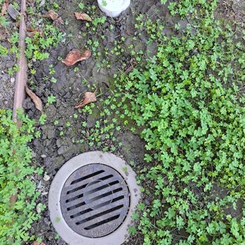 Bay Drainage - A surface drain and clean out to maintain the system - Masonry/Concrete Near Me - Danville, California