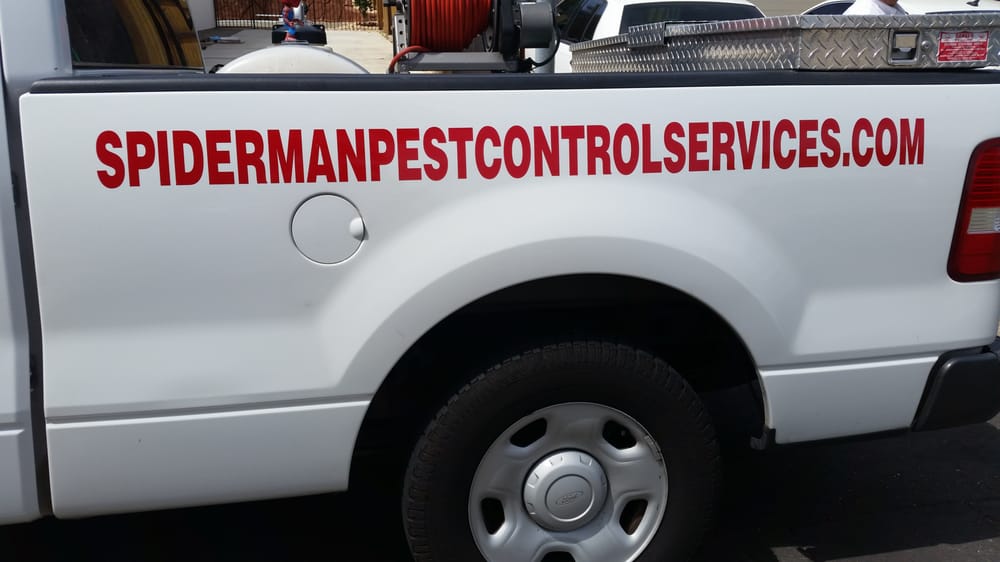 SPIDERMAN PEST CONTROL SERVICES Updated September 2024 34 Reviews