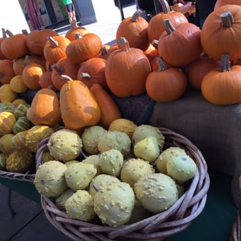 Ferry Building Marketplace - Pumpkin + squash - Public Markets Near Me - San Francisco, California Ferry Building Marketplace - Pumpkin + squash - Public Markets Near Me - San Francisco, California