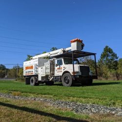 Dallas Tree Service