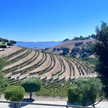 Sustainable Wine Tours - Wine Tours Near Me - Santa Barbara, California Sustainable Wine Tours - Wine Tours Near Me - Santa Barbara, California